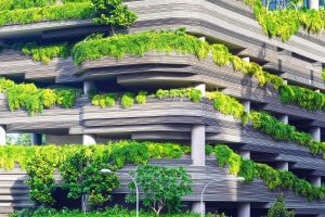 Comment faire un potager sur son balcon grâce à la domotique