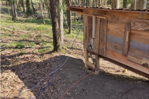 conseils pour construire un poulailler connecté|surveillance poulailler par caméra||comment éviter d'¡entendre le coq chanter|