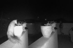 avantages d'installer une alarme Ajax à Lyon 69