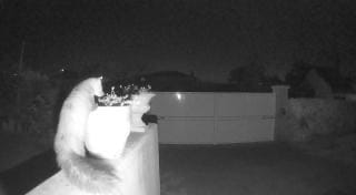 prévention des cambriolage grâce à l'installation d'une alarme Ajax