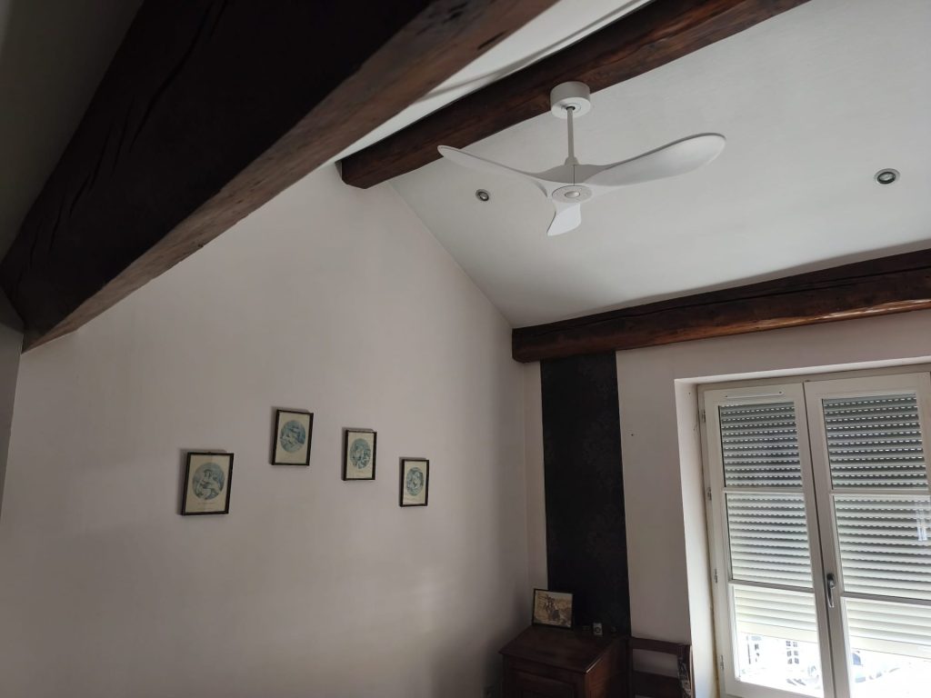 pose d¡un ventilateur de plafond pour chambre à Lyon 